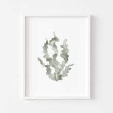 Load image into Gallery viewer, Coastal watercolor green seaweed art print 07-119