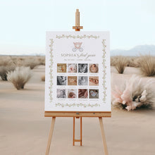 Load image into Gallery viewer, pink princess 12 months milestone board baby girl first birthday photo sign 0332