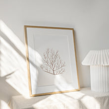 Load image into Gallery viewer, Coastal watercolor beige seaweed art print 07-119