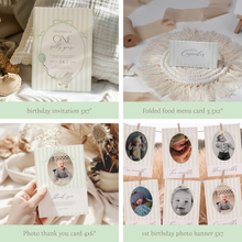 Load image into Gallery viewer, 03083 green silly goose birthday party bundle