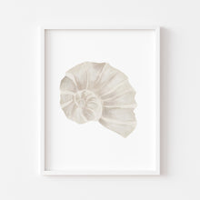 Load image into Gallery viewer, Coastal beige sea shell art print 07-119