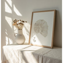 Load image into Gallery viewer, Coastal beige sea shell art print 07-119