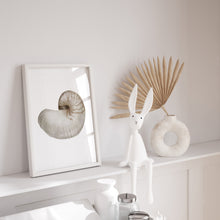 Load image into Gallery viewer, Coastal watercolor sea shell 2 art print 07-119