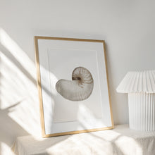 Load image into Gallery viewer, Coastal watercolor sea shell 2 art print 07-119