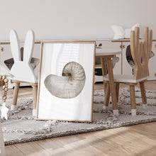 Load image into Gallery viewer, Coastal watercolor sea shell 2 art print 07-119