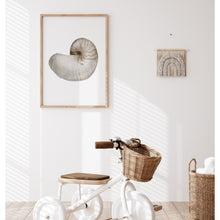 Load image into Gallery viewer, Coastal watercolor sea shell 2 art print 07-119