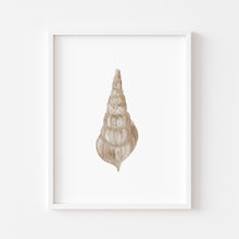 Load image into Gallery viewer, Coastal beige sea shell 3 art print 07-119