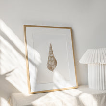 Load image into Gallery viewer, Coastal beige sea shell 3 art print 07-119