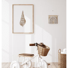 Load image into Gallery viewer, Coastal beige sea shell 3 art print 07-119