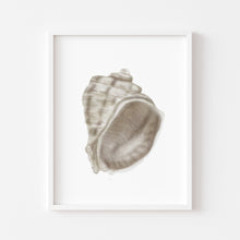 Load image into Gallery viewer, Coastal watercolor sea shell 4 art print 07-119