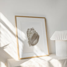 Load image into Gallery viewer, Coastal watercolor sea shell 4 art print 07-119