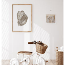 Load image into Gallery viewer, Coastal watercolor sea shell 4 art print 07-119