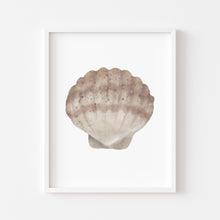 Load image into Gallery viewer, Coastal beige sea shell 5 art print 07-119