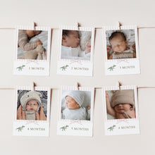 Load image into Gallery viewer, 0323 Editable Pink TuTu T-rex Photo Banner | Printable Dino Birthday Decor | Digital Download