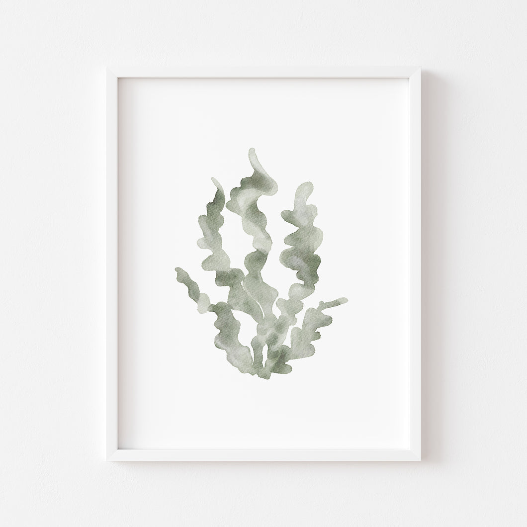 Coastal watercolor green seaweed art print 07-119