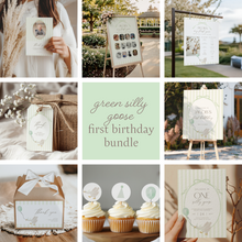 Load image into Gallery viewer, 03083 green silly goose birthday party bundle

