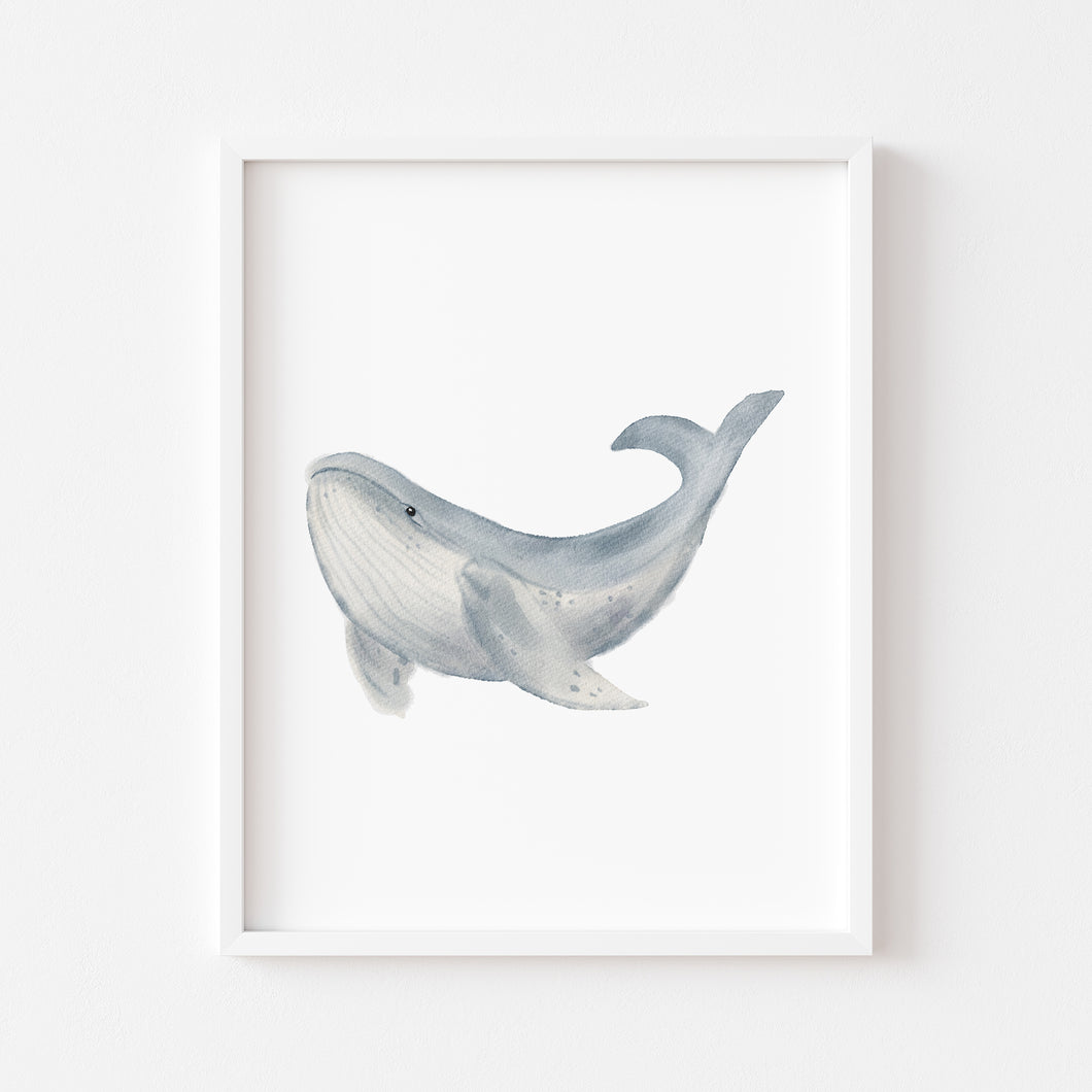 Coastal watercolor blue whale art print 07-119